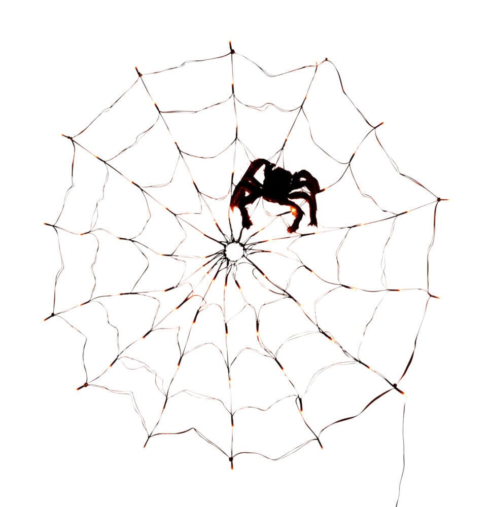 Halloween spindelvev