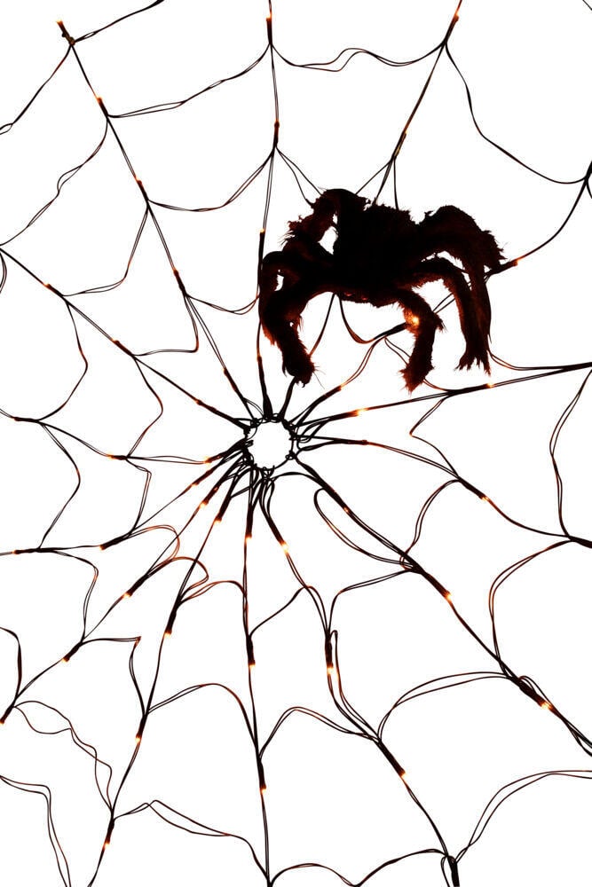Halloween spindelvev
