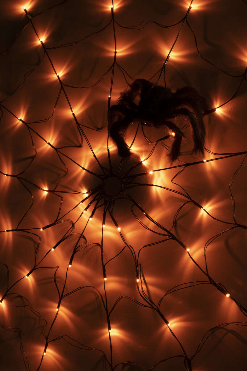 Halloween spindelvev