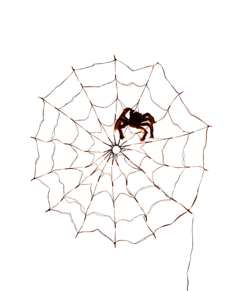 Halloween spindelvev