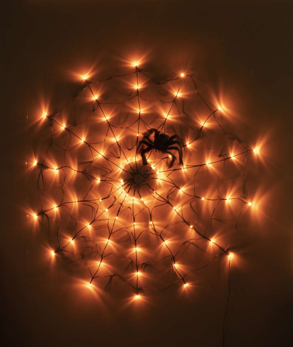 Halloween spindelvev