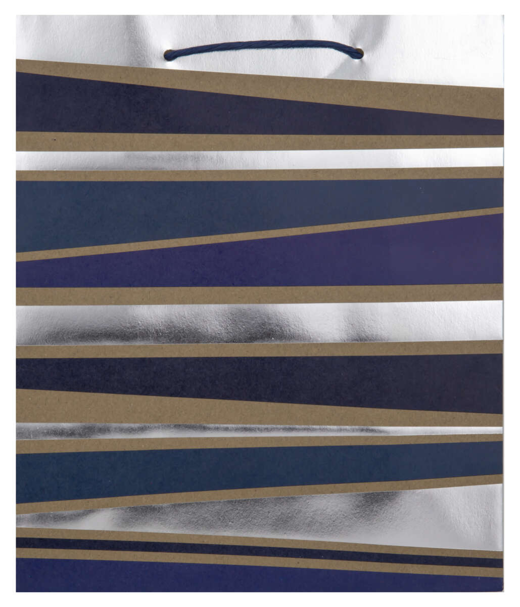 Gavepose medium Blå/sirkler