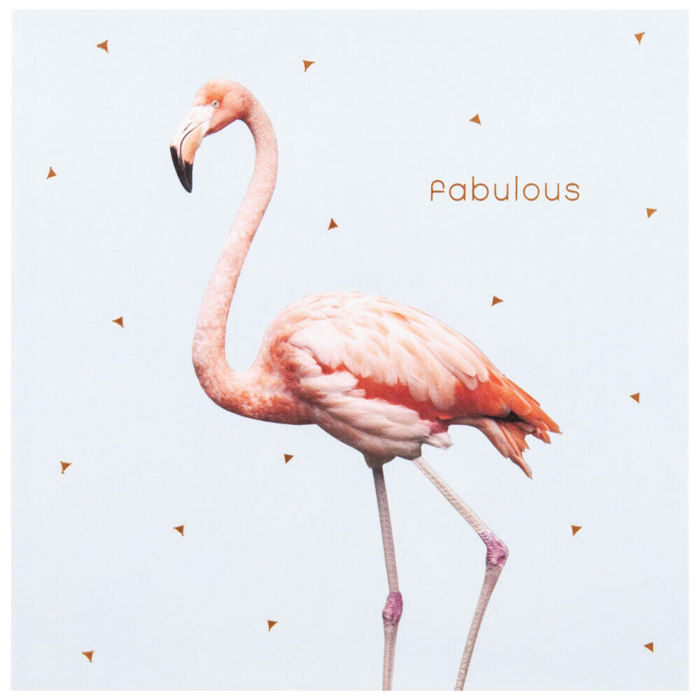 Kort Flamingo