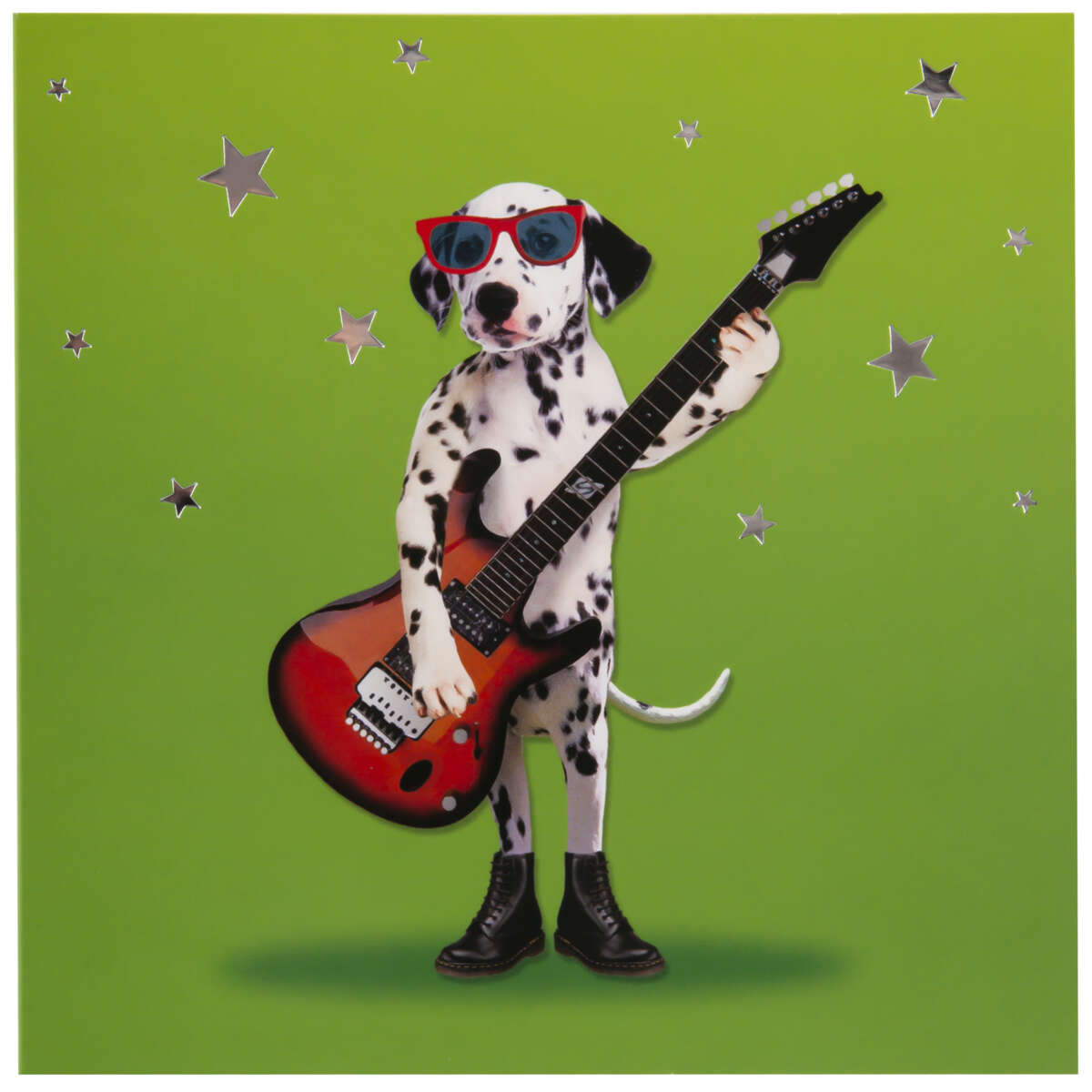 Kort Dalmantiner med gitar