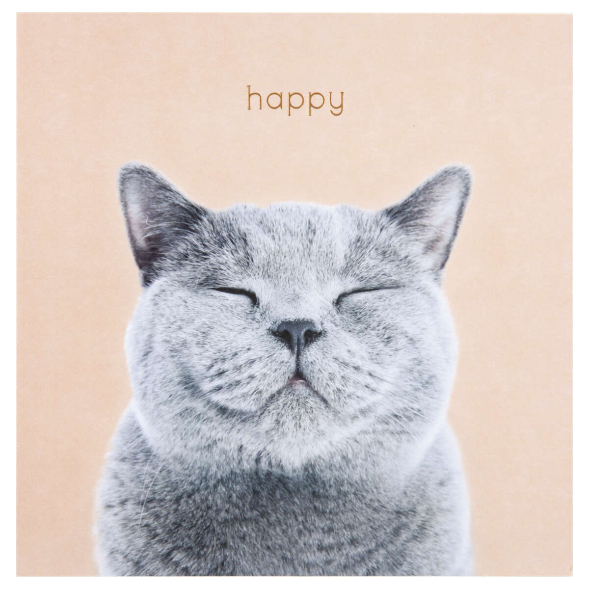 Kort Gratulerer med dagen