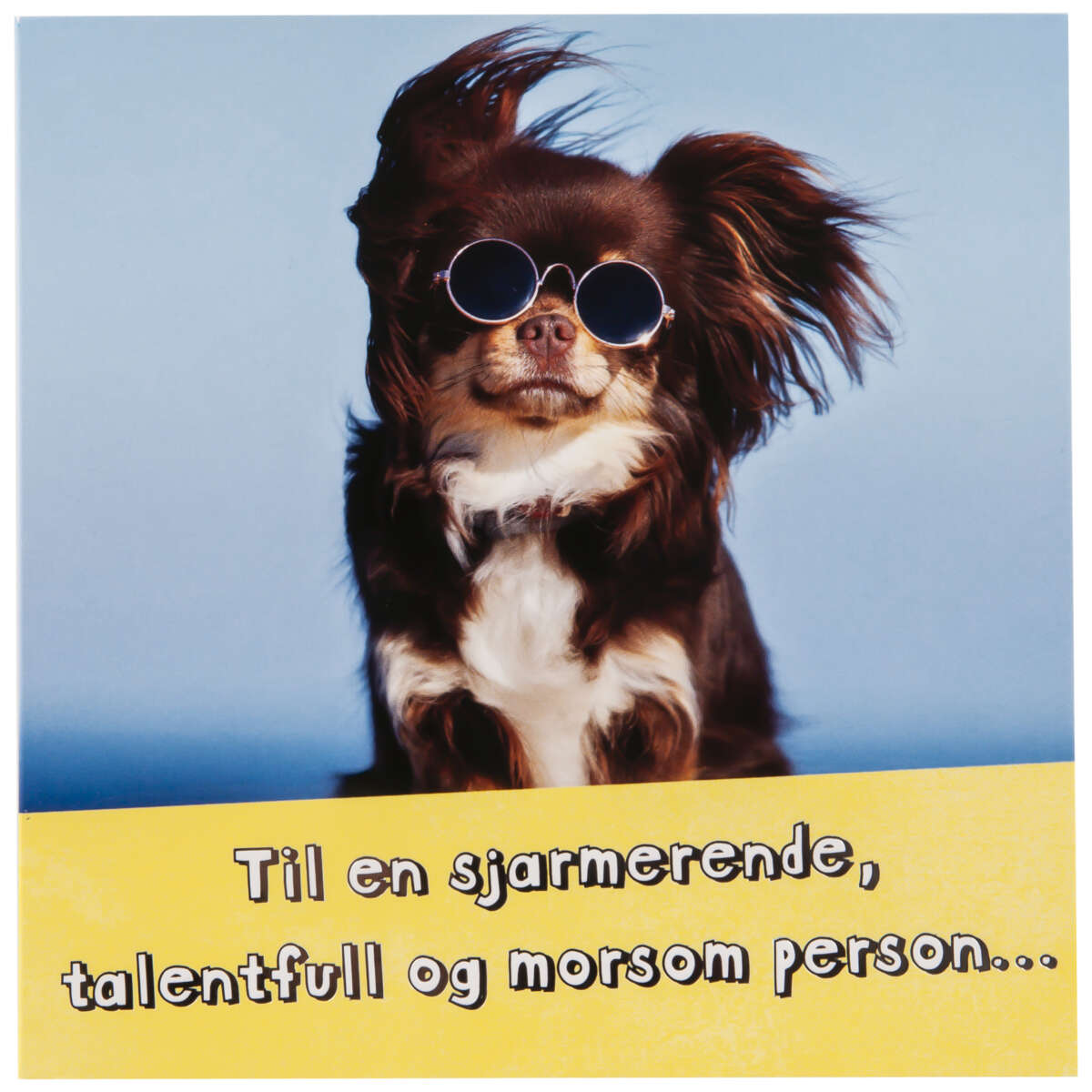 Kort Hund med briller