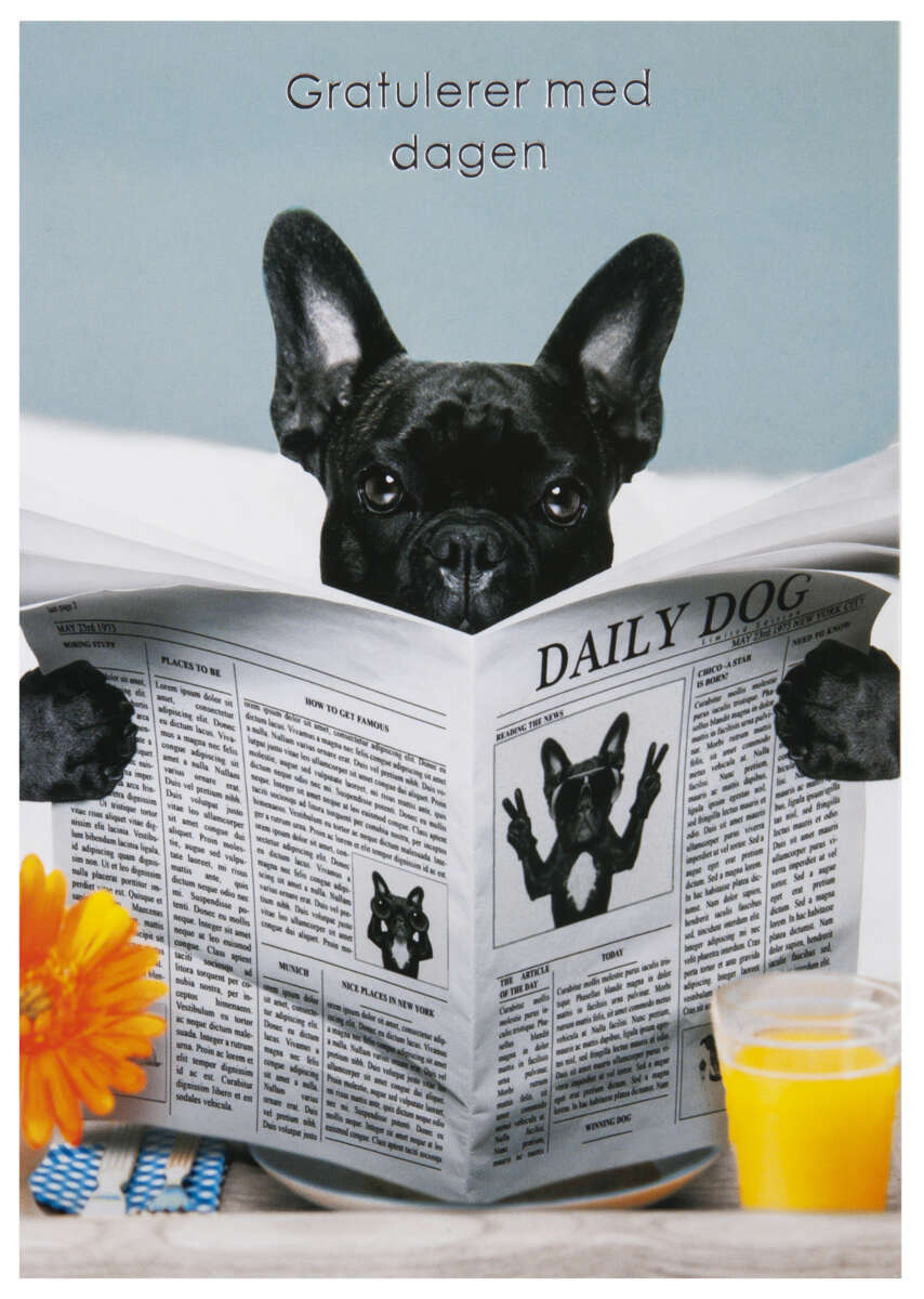 Kort Gratulerer med dagen