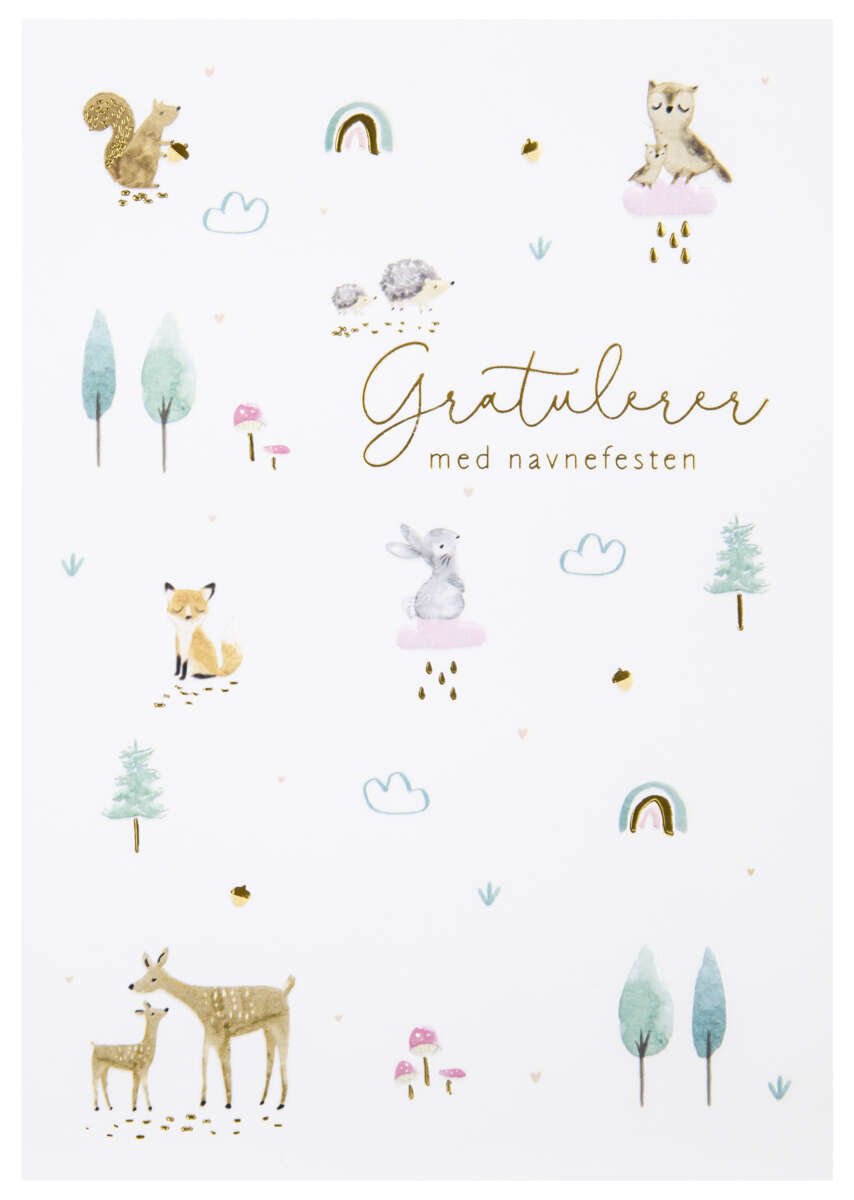 Kort Gratulerer med navnefesten