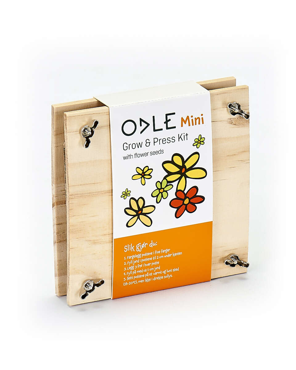 Odle mini blomsterpresse med frø