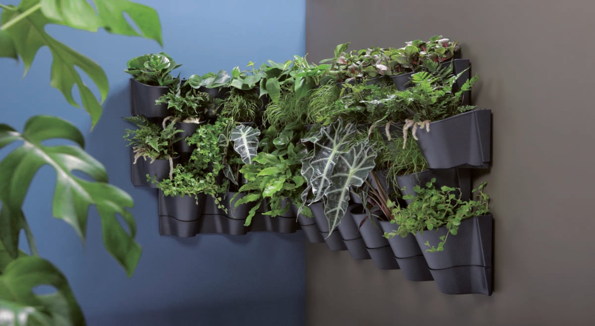 Respana vegghengt potte