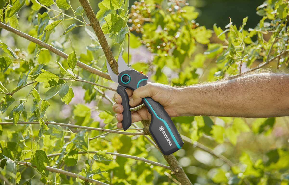 GARDENA AsisstCut beskjæringssaks