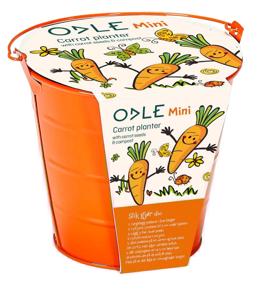 Odle bøtte med minigulrotfrø