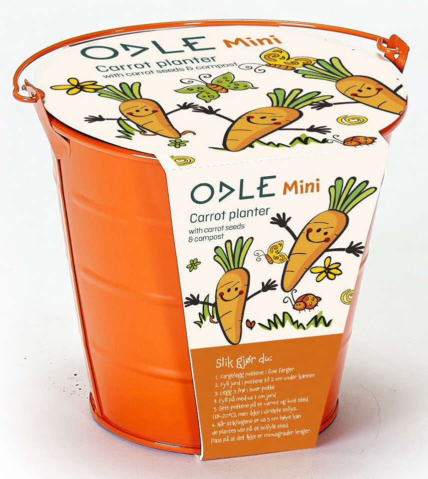 Odle bøtte med minigulrotfrø