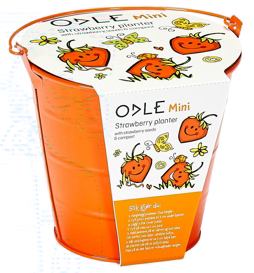 Odle bøtte med tomatfrø