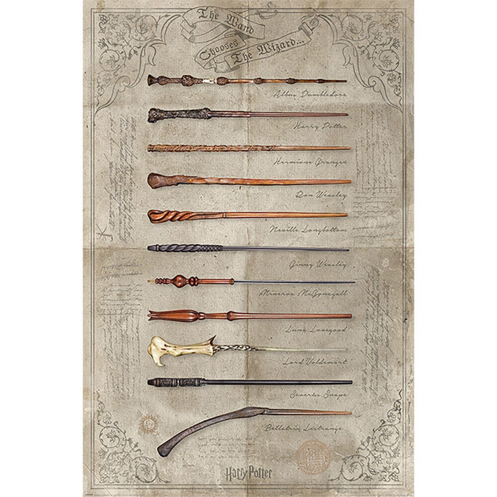 Harry Potter™ The Wands plakat