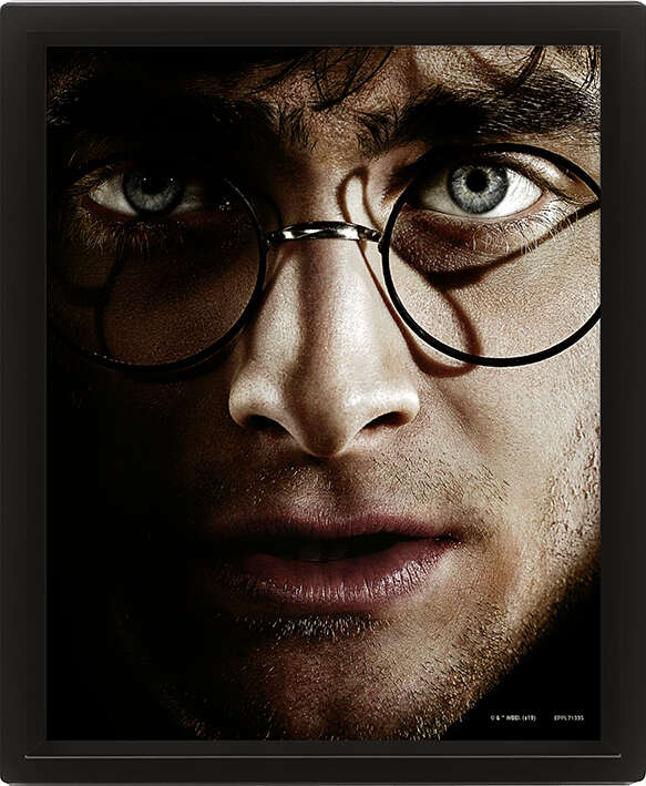 Harry Potter™ 3D bilde Harry Potter vs Voldemort