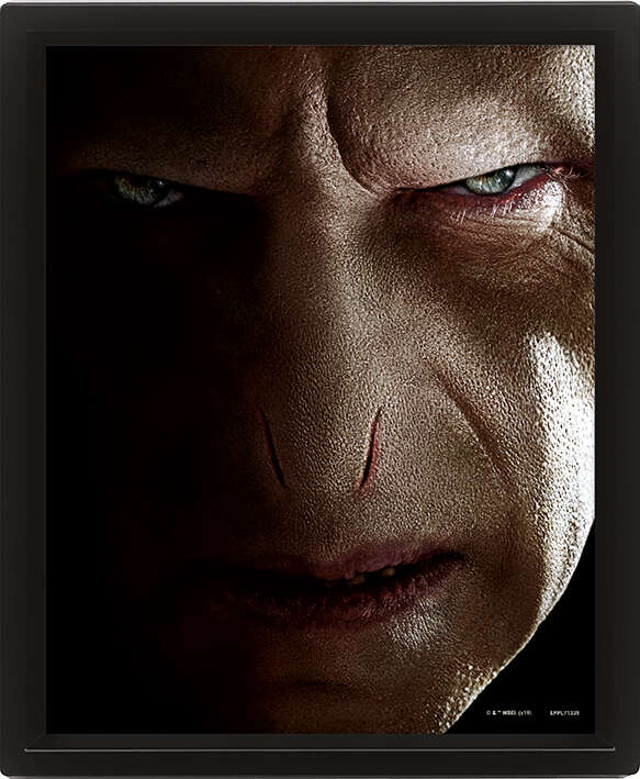 Harry Potter™ 3D bilde Harry Potter vs Voldemort