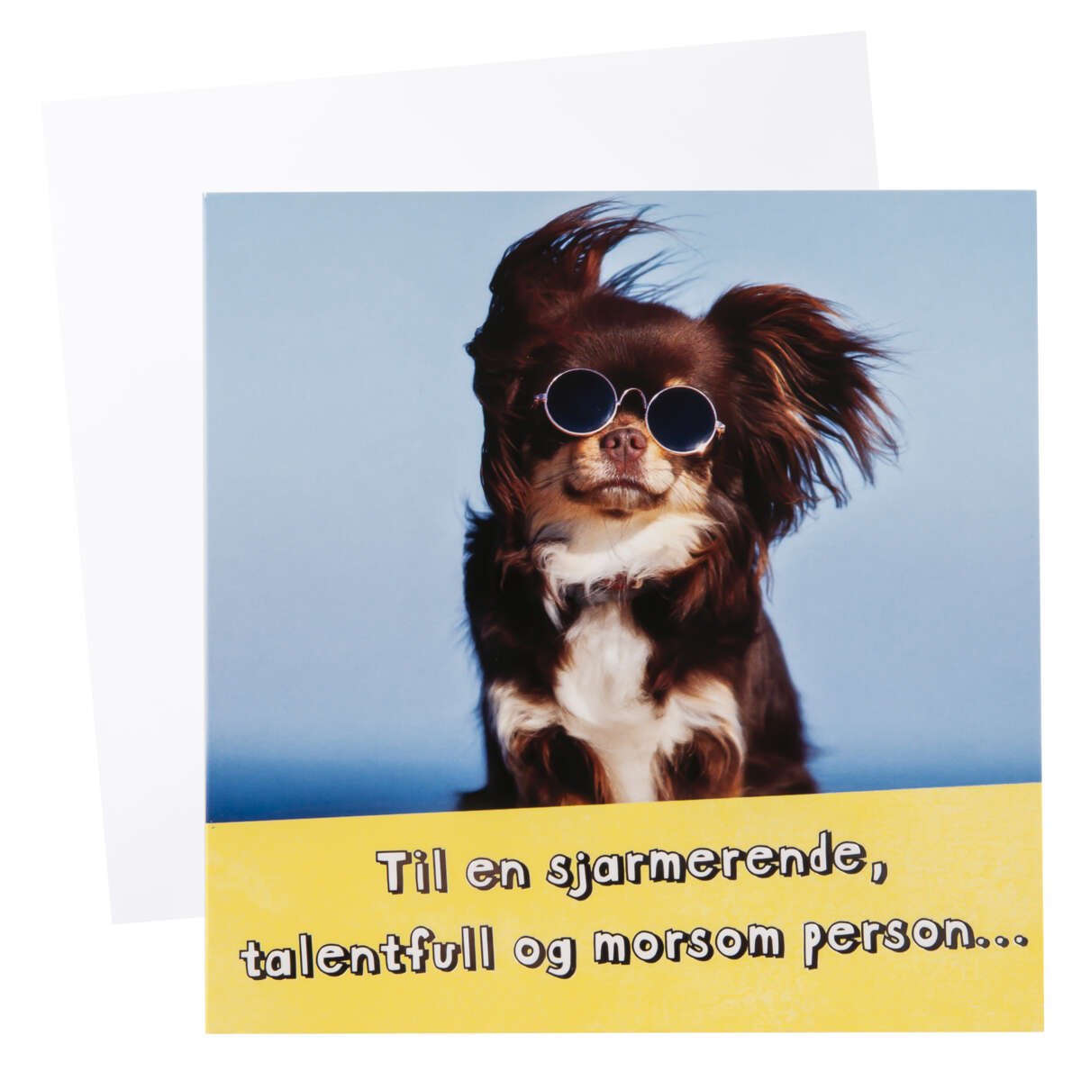 Kort Hund med briller