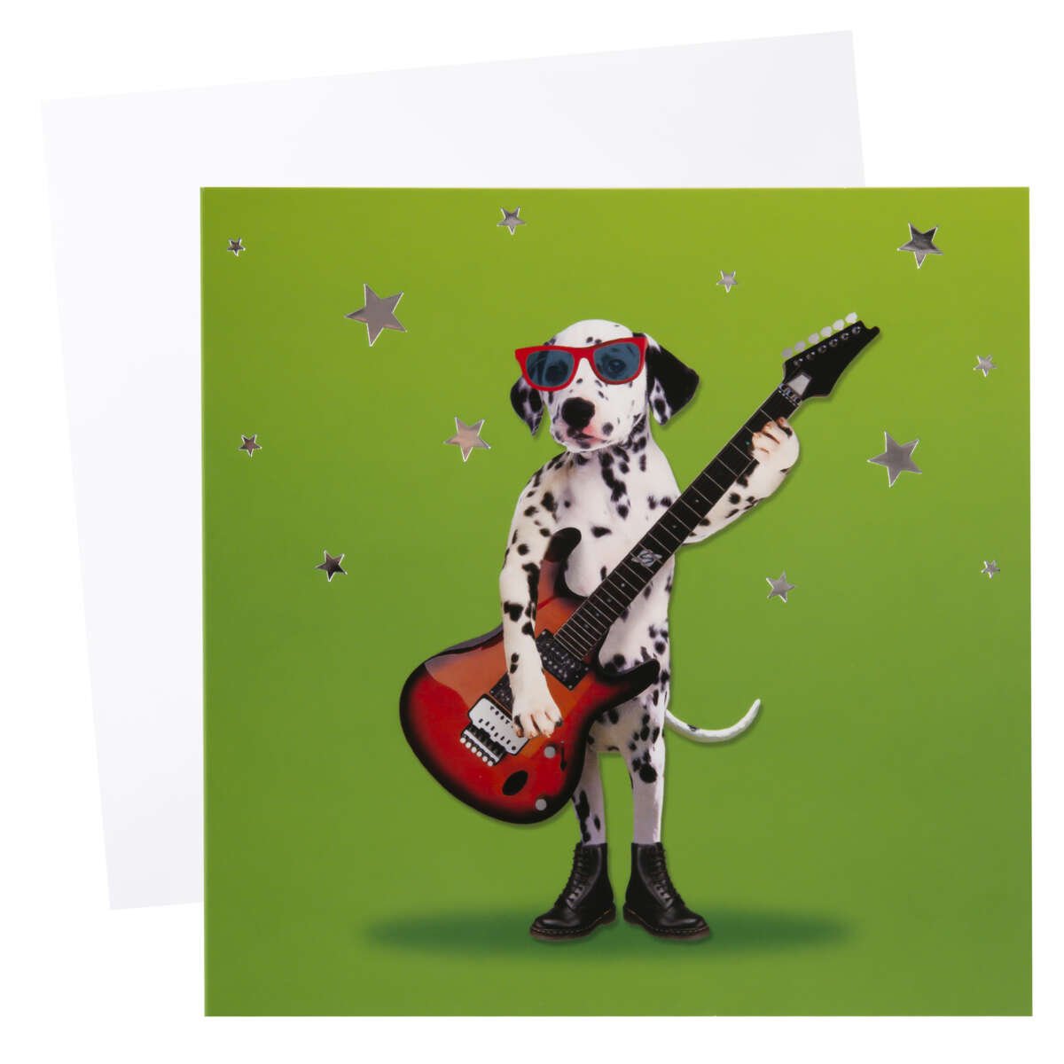 Kort Dalmantiner med gitar