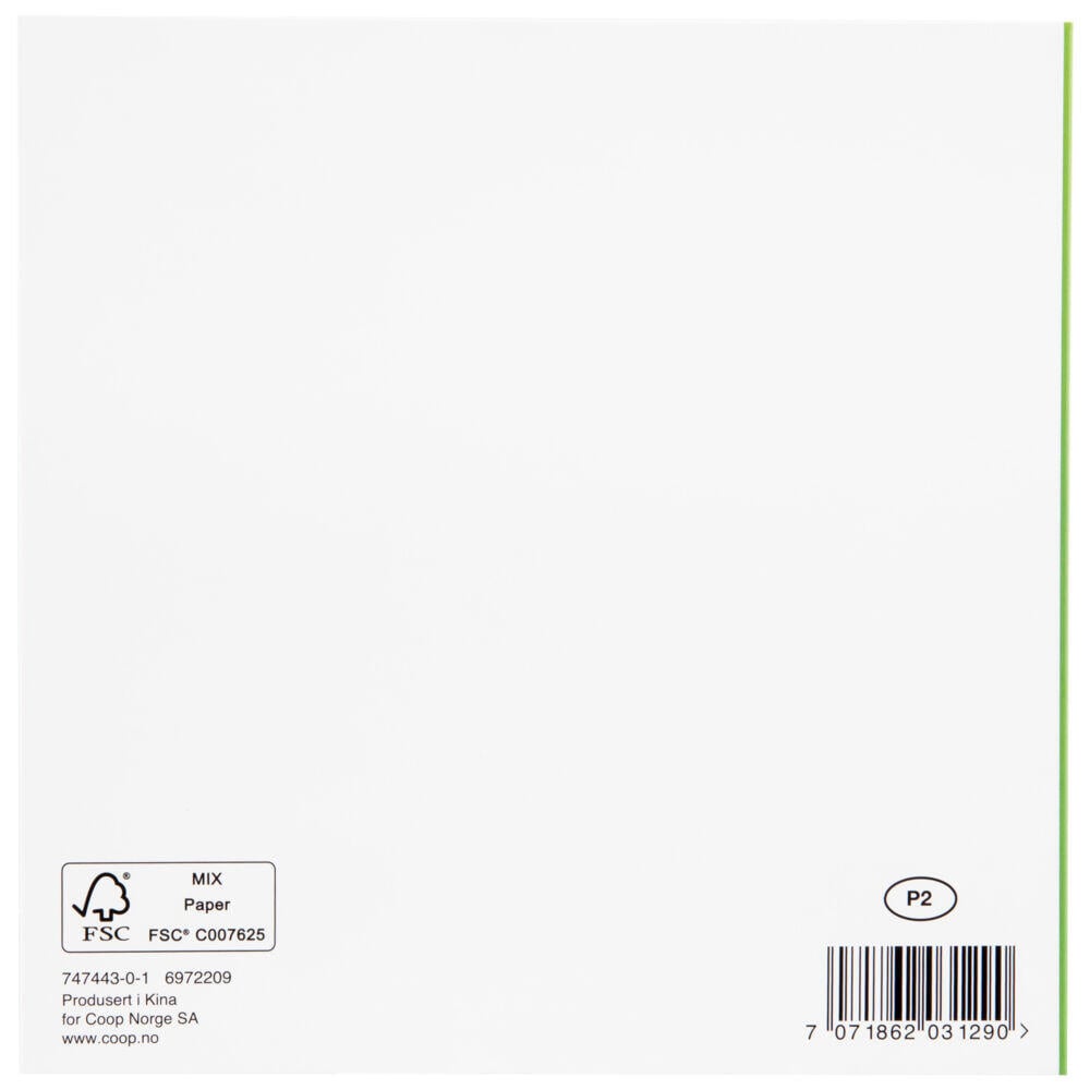 Kort Dalmantiner med gitar