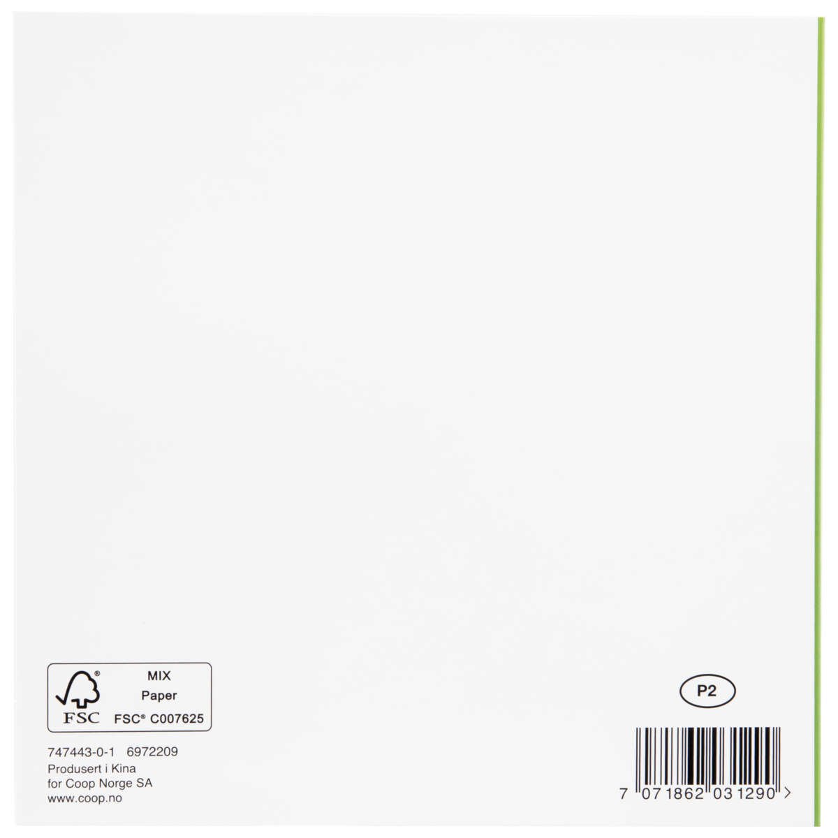 Kort Dalmantiner med gitar