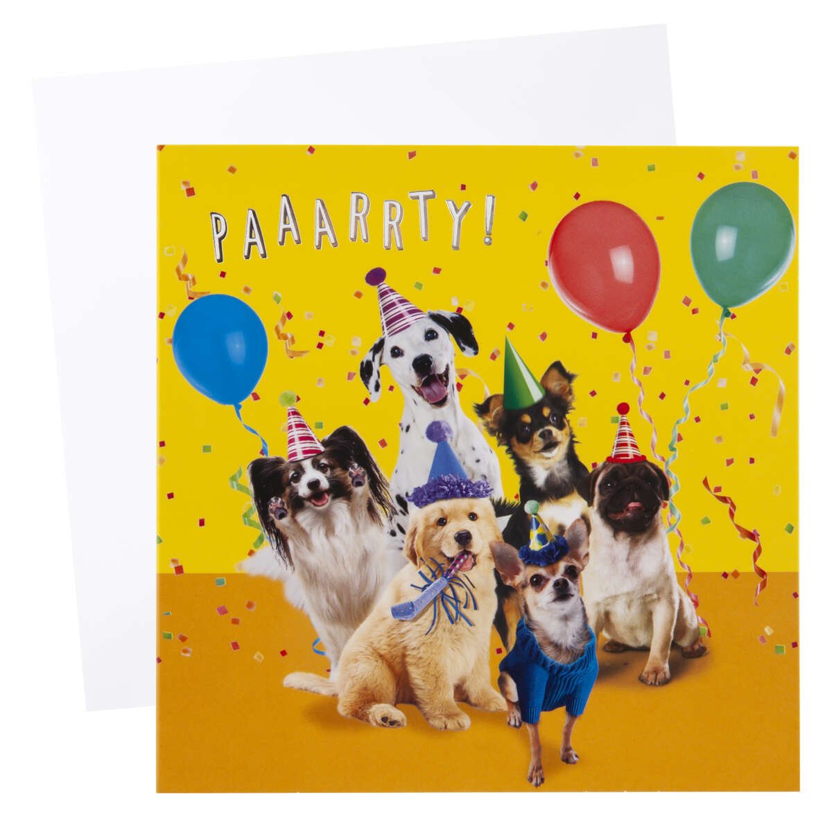 Kort Party Hunder