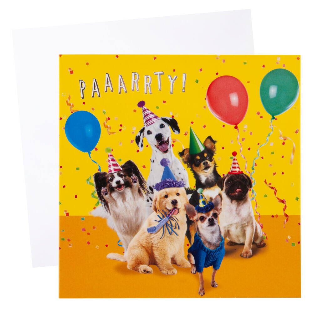 Kort Party Hunder