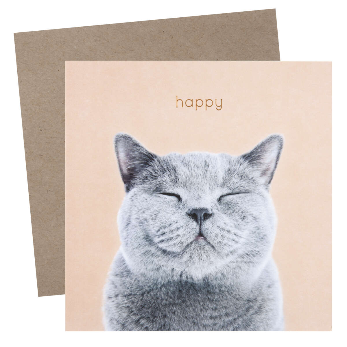 Kort Gratulerer med dagen