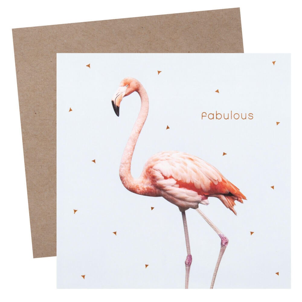 Kort Flamingo