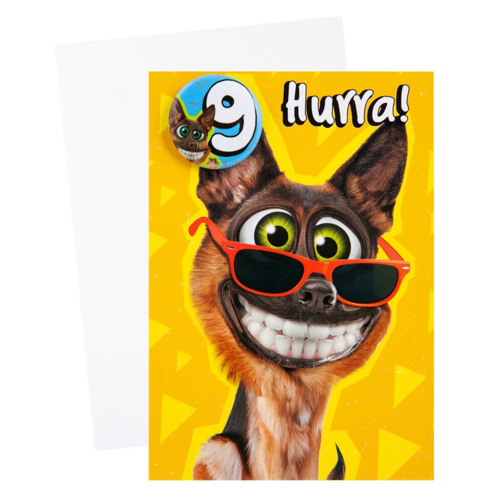 Kort 9 år Hund