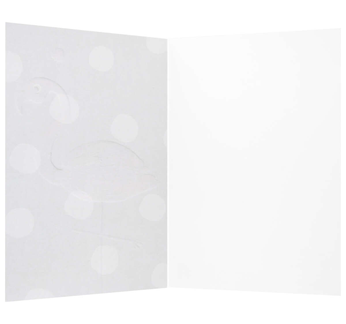 Kort 10 år Flamingo