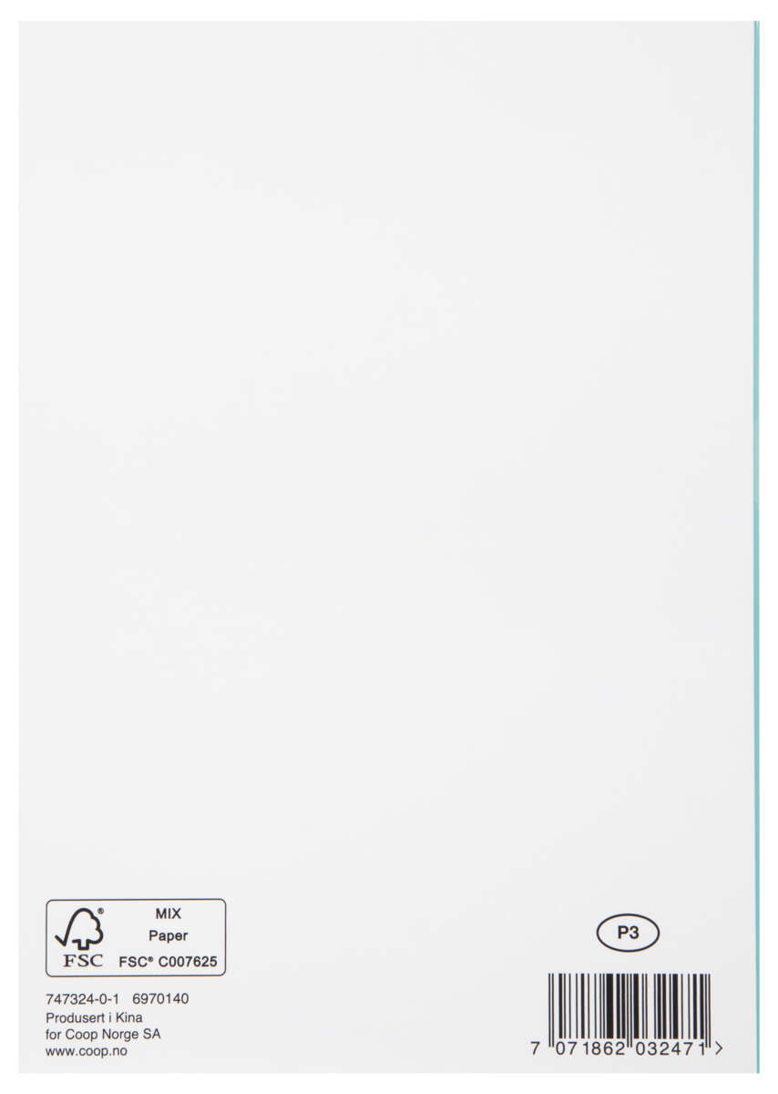 Kort 10 år Flamingo