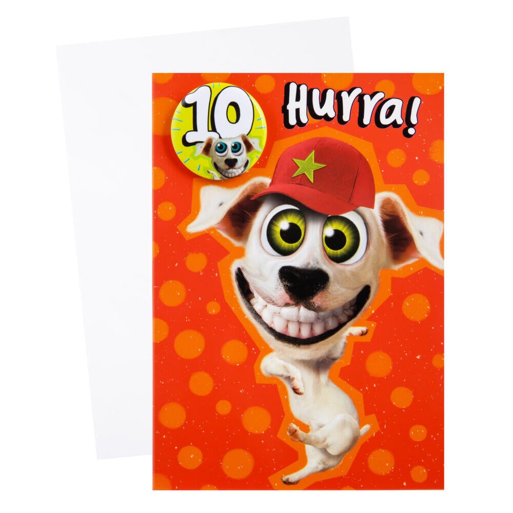 Kort 10 år Hund