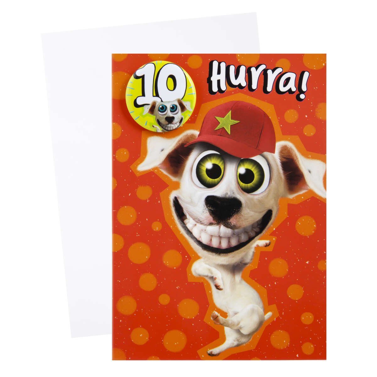 Kort 10 år Hund