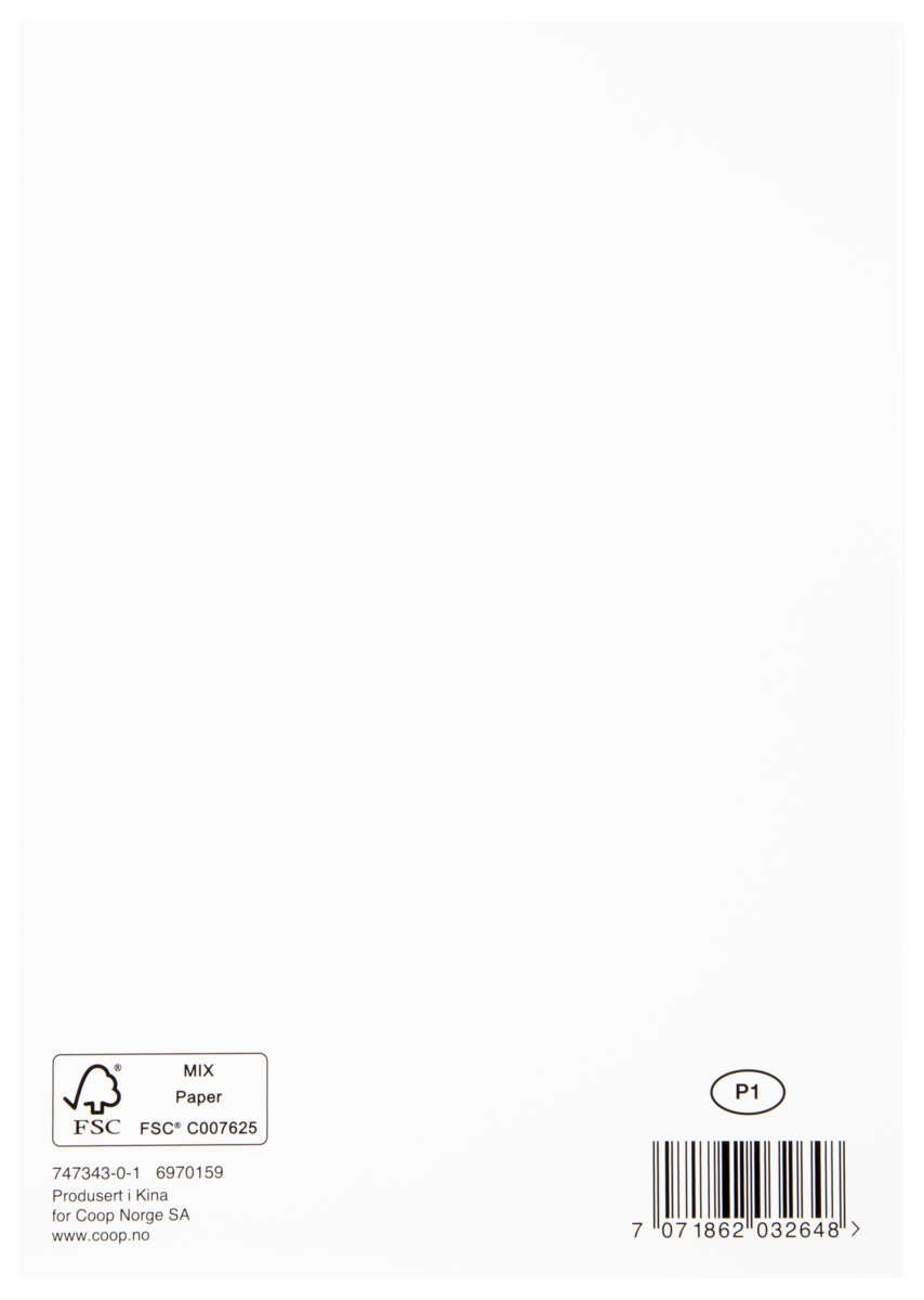 Kort Vaskebjørn med solbriller