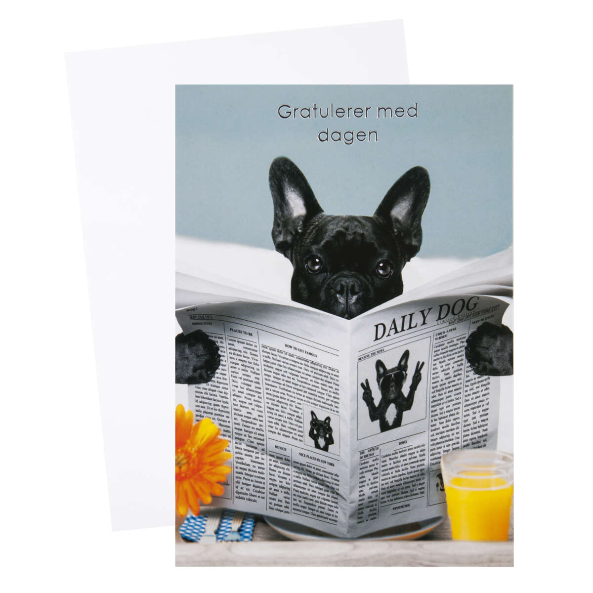 Kort Gratulerer med dagen