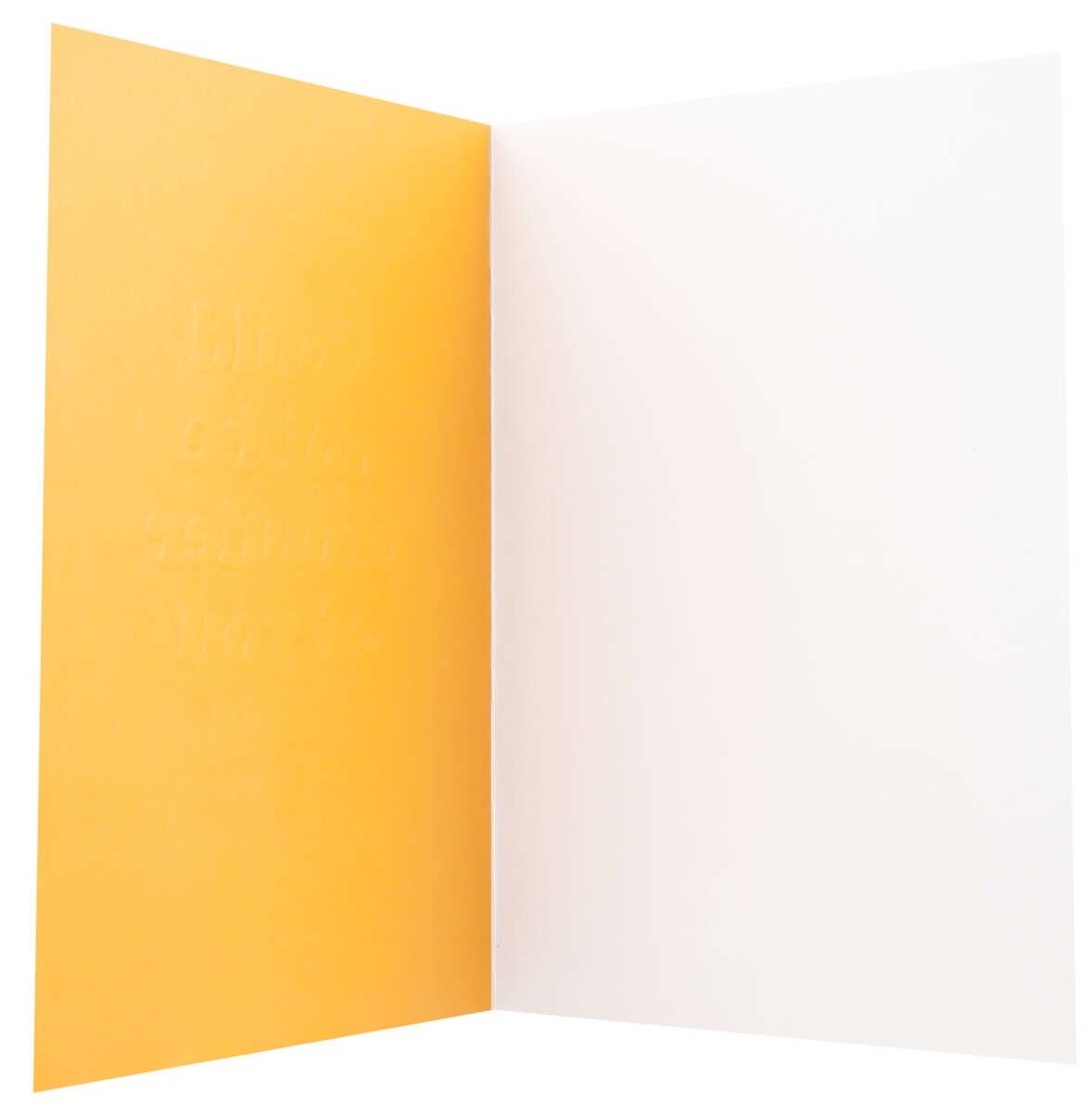 Kort Could not be prouder of you