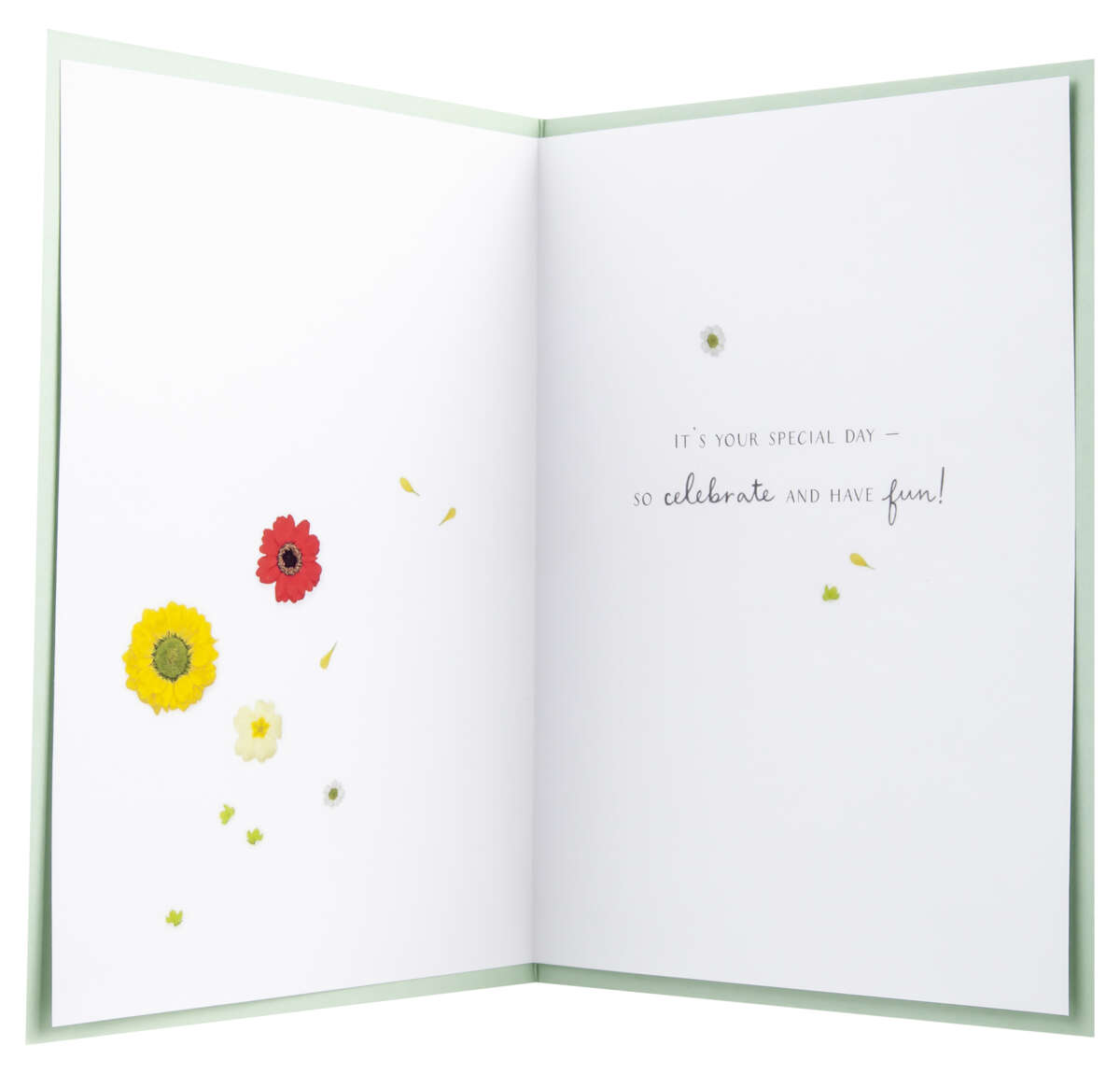 Kort Birthday wishes