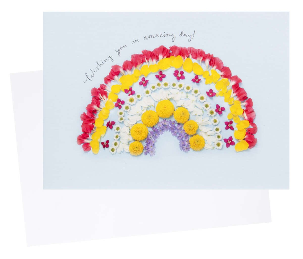 Kort Wishing you an amazing day