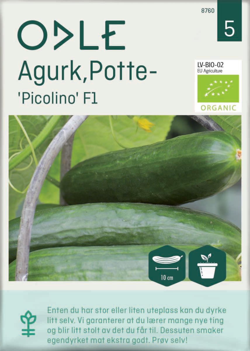 Odle 'Picolino' F1 potteagurk frø