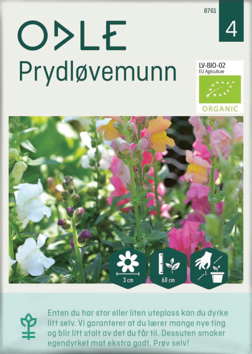 Odle høy prydløvemunn frø