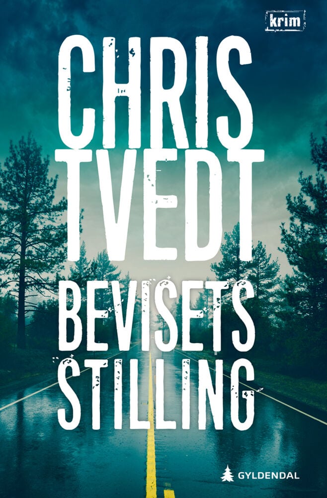 Chris Tvedt: Bevisets stilling