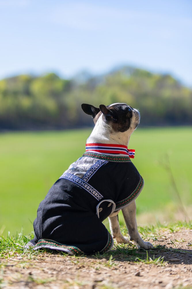 Northpeak Solveig hundedekken