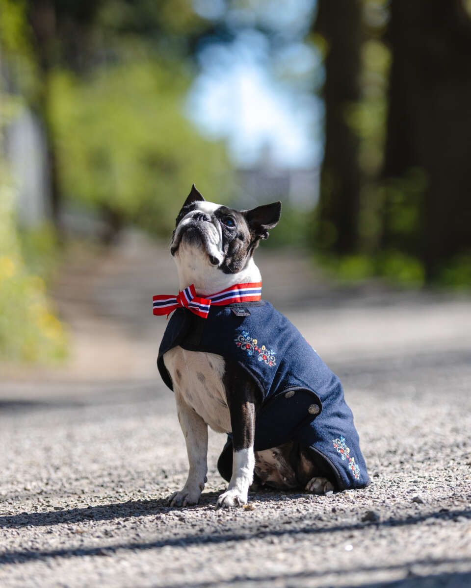 Northpeak Ingrid hundedekken