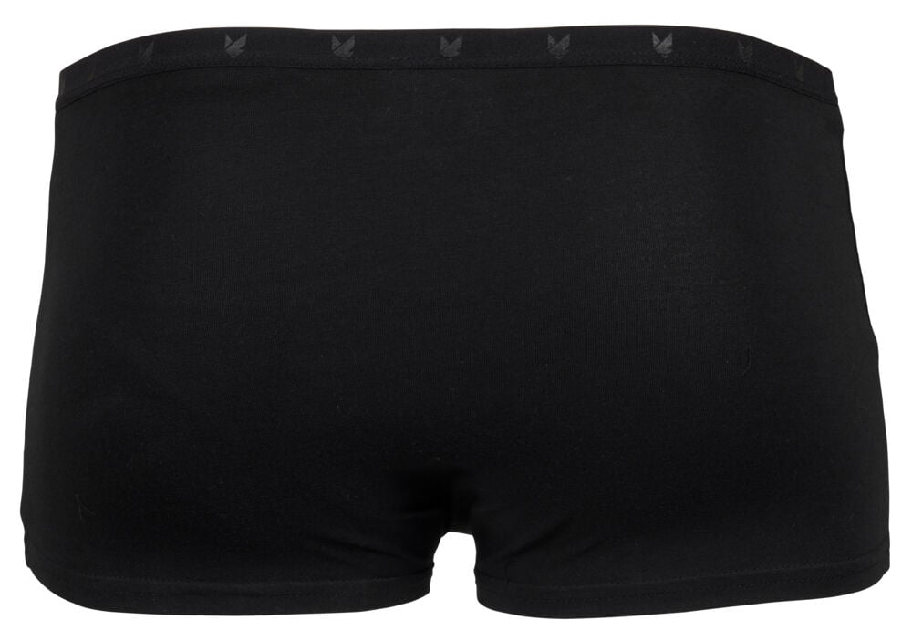 Northpeak GOTS hipstertruser 2-pk dame