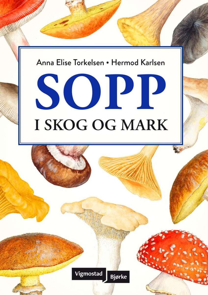 Torkelsen, Anna-Elise: Sopp i skog og mark