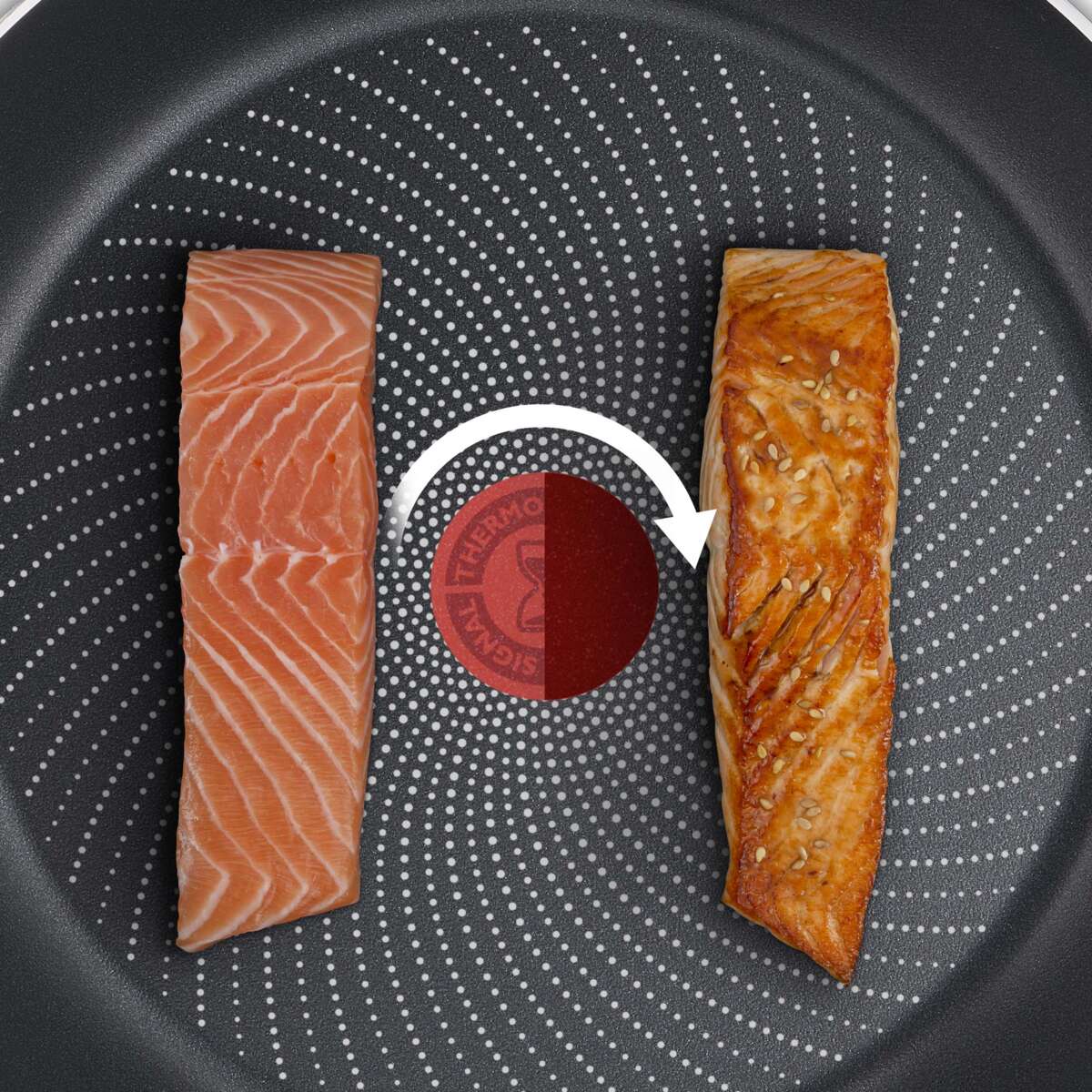 Tefal Delicious stekepanne