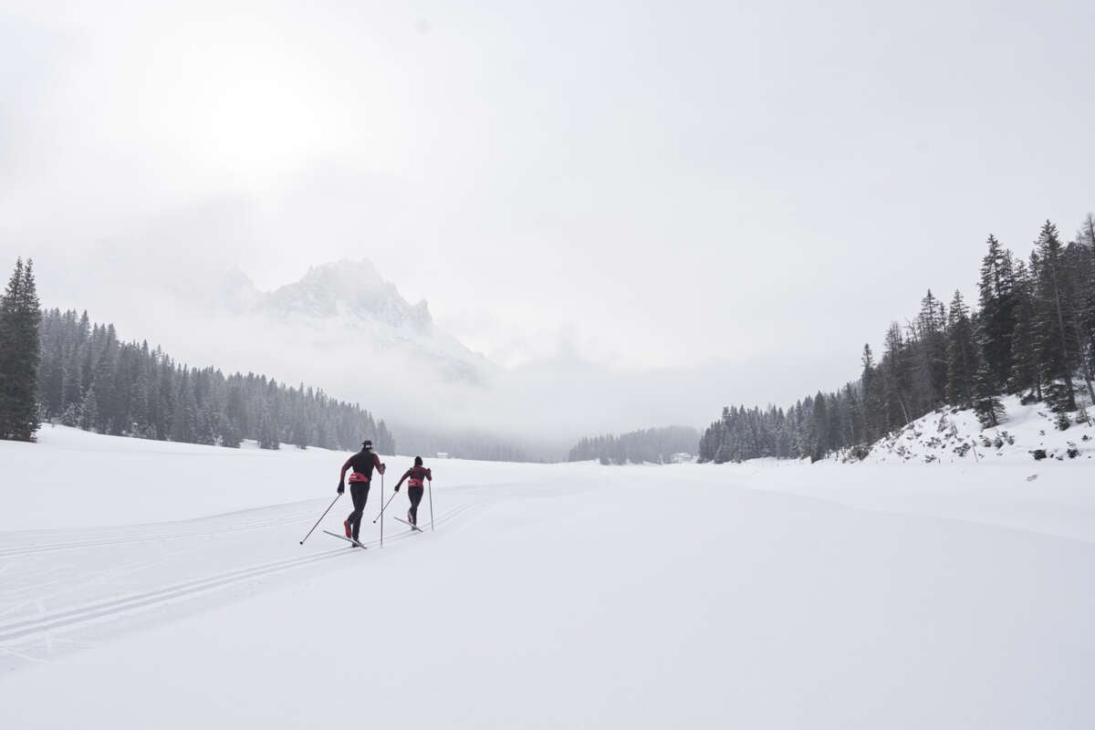 Madshus Active Pro Skin felleski 24