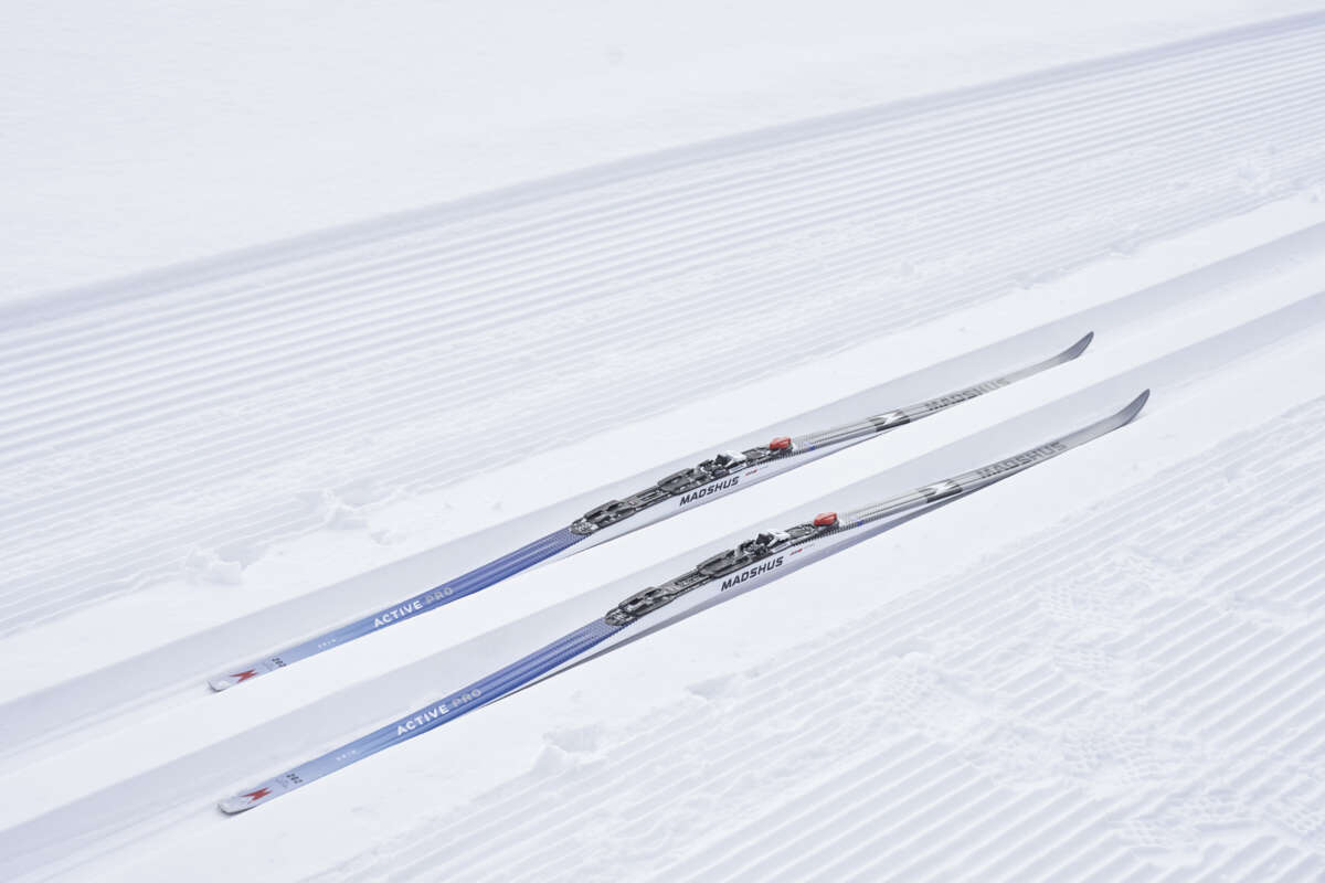 Madshus Active Pro Skin felleski 24