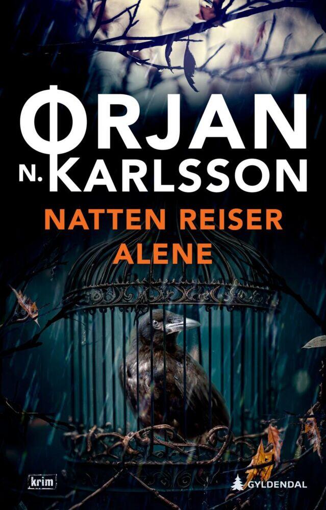 Ørjan N. Karlsson: Natten reiser alene